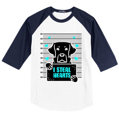 Labrador Valentine's Day Dog Lover Labrador Retriever Gift Baseball Sleeve Shirt