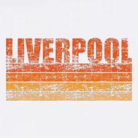 Liverpool Vintage Retro England Doggie Tank