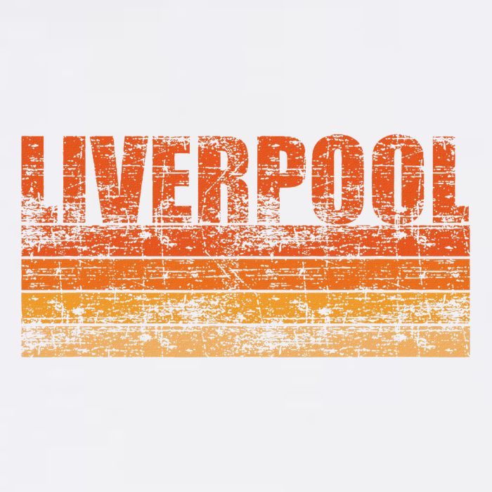 Liverpool Vintage Retro England Doggie Tank