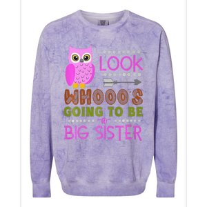 Look WhoS Going To Be A Big Sister Owl Baby Announcement Premium Colorblast Crewneck Sweatshirt