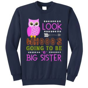 Look WhoS Going To Be A Big Sister Owl Baby Announcement Premium Sweatshirt