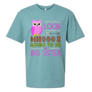 Look WhoS Going To Be A Big Sister Owl Baby Announcement Premium Sueded Cloud Jersey T-Shirt