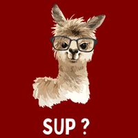 Llama With Glasses Funny Saying Alpaca Youth Performance Sprint T-Shirt