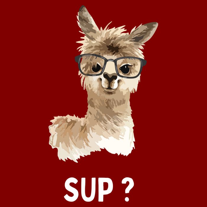 Llama With Glasses Funny Saying Alpaca Youth Performance Sprint T-Shirt