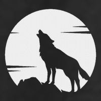 Lone Wolf Howling At The Moon Jackal Animal Adult Drive Performance Visor