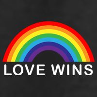 Love Wins Lgbtq Pride Month Rainbow Beanie