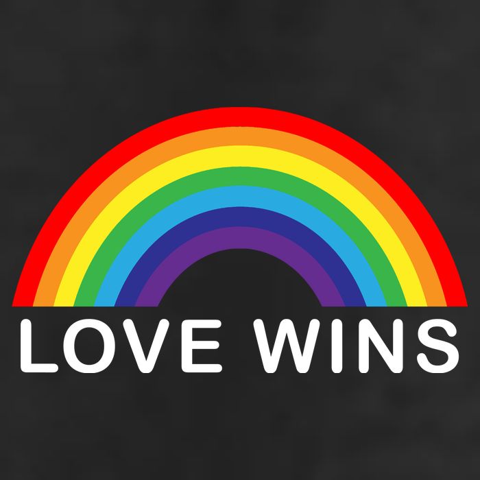 Love Wins Lgbtq Pride Month Rainbow Beanie