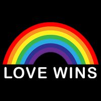 Love Wins Lgbtq Pride Month Rainbow 16 in Basic Backpack