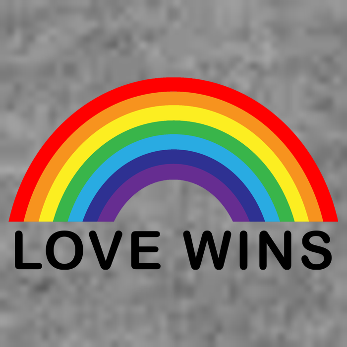 Love Wins Lgbtq Pride Month Rainbow Doggie Tank