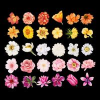 Lesbian Wildflower Lgbt Pride Floral Subtle Sapphic Queer Wool Snapback Cap