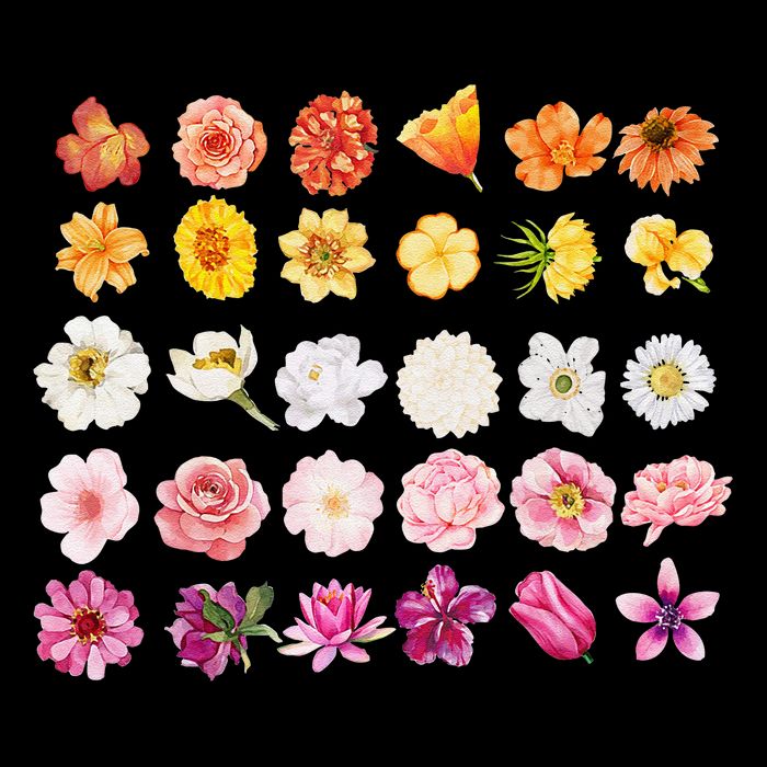 Lesbian Wildflower Lgbt Pride Floral Subtle Sapphic Queer Wool Snapback Cap