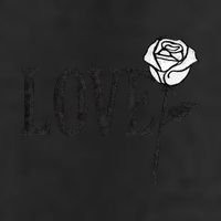 Love with Rose Adult Drive Performance Visor