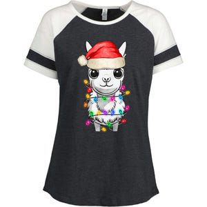 Llama Wearing Santa Hat Christmas Lights Graphic Animal Lover Enza Ladies Jersey Colorblock Tee