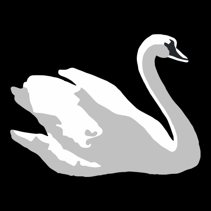 Ldr With Swan 16 in Basic Backpack