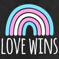 Love Wins Transgender Rainbow Pride Month Adult Drive Performance Visor