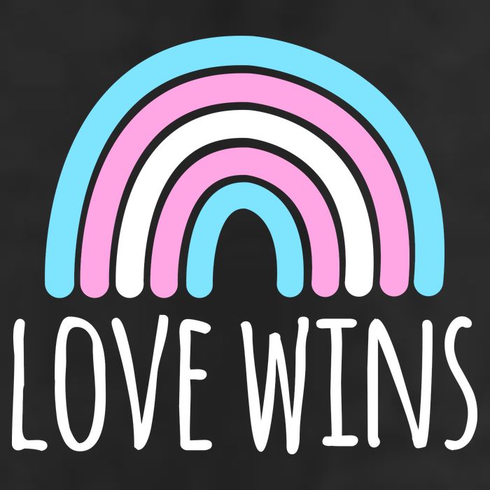 Love Wins Transgender Rainbow Pride Month Adult Drive Performance Visor