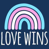 Love Wins Transgender Rainbow Pride Month 7 Panel Mesh Trucker Snapback Hat