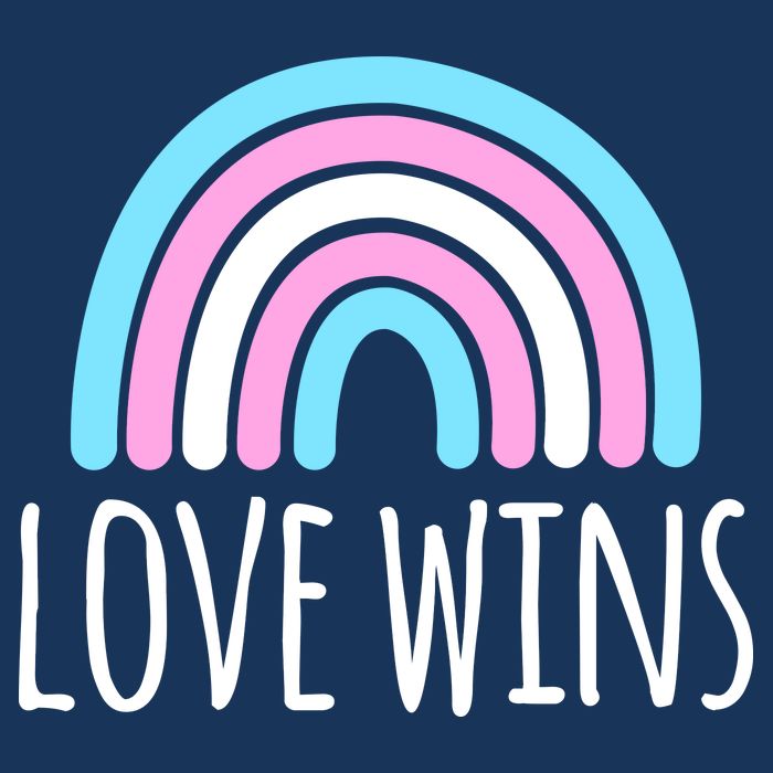 Love Wins Transgender Rainbow Pride Month 7 Panel Mesh Trucker Snapback Hat