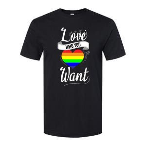 Love Who You Want Acceptance Ally Flag Love Proud Pansexual Gift Softstyle CVC T-Shirt