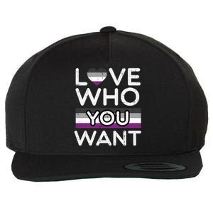 Love Who You Want Asexual Ace Pride Flag Asexuality Lgbtq Gift Wool Snapback Cap