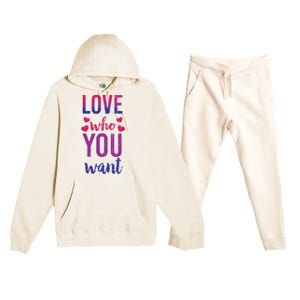 Love Who You Want Funny Bisexual Pride Lgbtq Graphic Gift Premium Hooded Sweatsuit Set