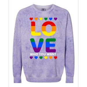 Love Who You Want Pride Lgbt Equivalent Gift Colorblast Crewneck Sweatshirt