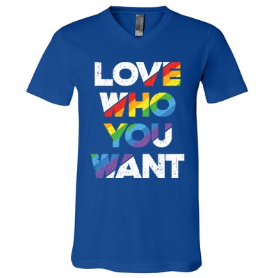 Love Who You Want Rainbow Lgbtq Gay Rights Equality Gift V-Neck T-Shirt