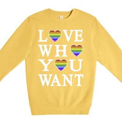 Love Who You Want Rainbow Pro Gay Hu Equality Gift Premium Crewneck Sweatshirt