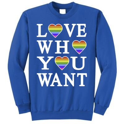 Love Who You Want Rainbow Pro Gay Hu Equality Gift Sweatshirt