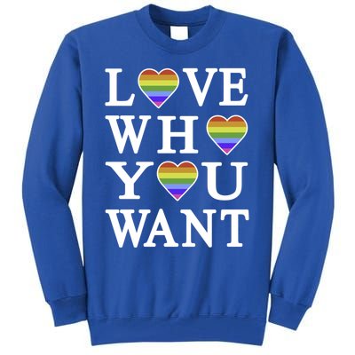 Love Who You Want Rainbow Pro Gay Hu Equality Gift Tall Sweatshirt