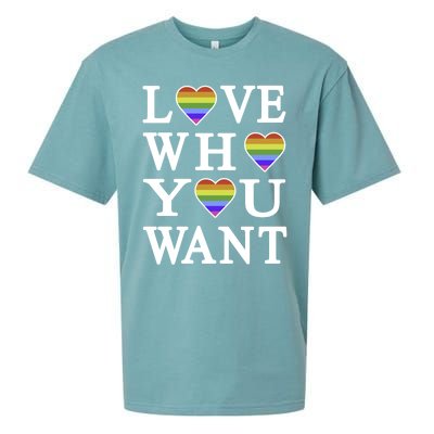 Love Who You Want Rainbow Pro Gay Hu Equality Gift Sueded Cloud Jersey T-Shirt