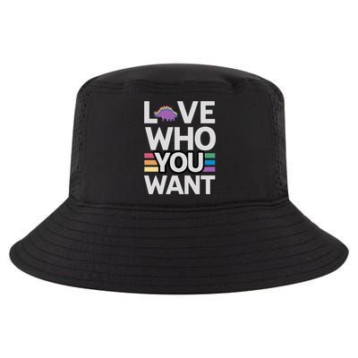 Love Who You Want Stegosaurus Lgbtq Dinosaur Lover Funny Gift Cool Comfort Performance Bucket Hat