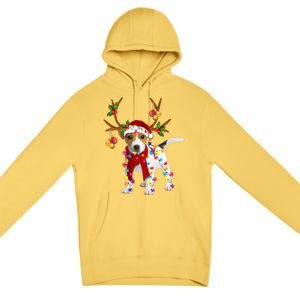 Light Xmas Gift Premium Pullover Hoodie