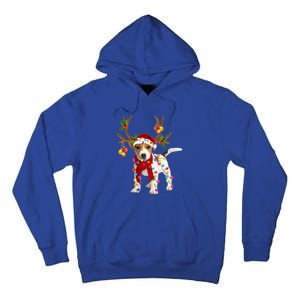 Light Xmas Gift Tall Hoodie