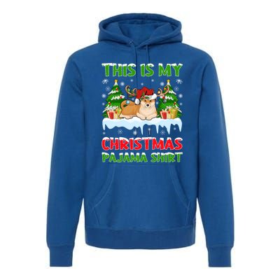 Lighting Xmas This Is My Akita Dog Christmas Pajama Gift Premium Hoodie