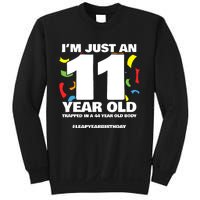 Leap Year Birthday 44th Birthday Party Leap Day Birthday Sweatshirt