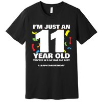 Leap Year Birthday 44th Birthday Party Leap Day Birthday Premium T-Shirt