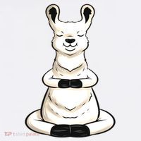Llama Yoga Funny Namaste T-Shirt