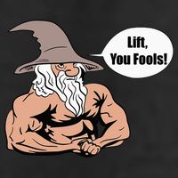Lift You Fools Wizard Weightlifting Bodybuilding Gym Fitness 7 Panel Mesh Trucker Snapback Hat