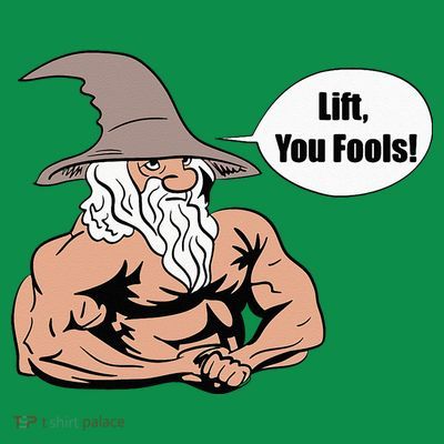 Lift You Fools Wizard Weightlifting Bodybuilding Gym Fitness T-Shirt