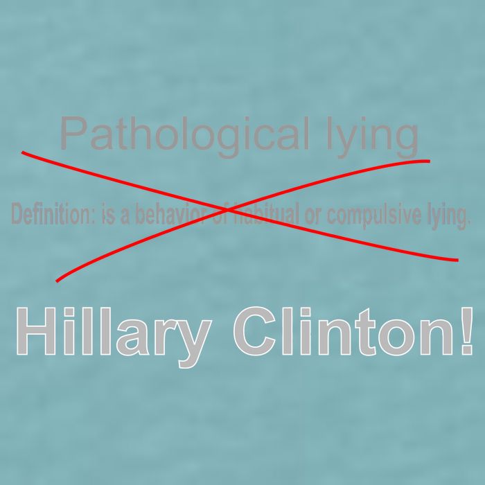 Lying Hillary Clinton Funny Definition Sueded Cloud Jersey T-Shirt