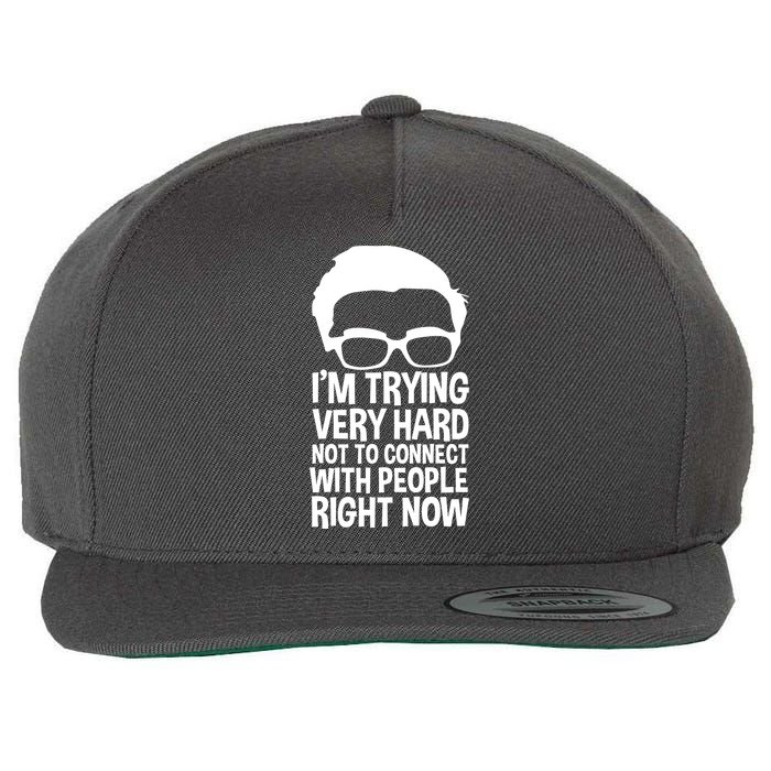 'm Trying Very Hard Not To Connect With People Right Now Wool Snapback Cap