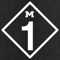 M1 Woodward Ave Sign Adult Drive Performance Visor