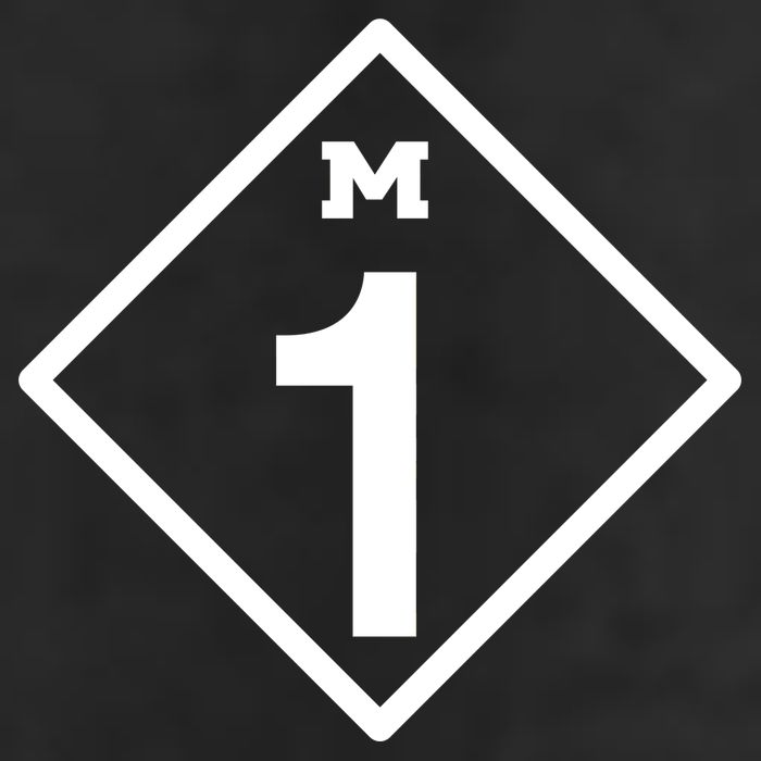 M1 Woodward Ave Sign Adult Drive Performance Visor