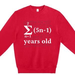 Math 13 Birthday Boy 13 Yr 13 Year Old Boy 13th Birthday Premium Crewneck Sweatshirt