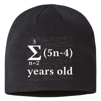 Math 17 Birthday Boy 17 Yr 17 Year 17th Birthday Sustainable Beanie