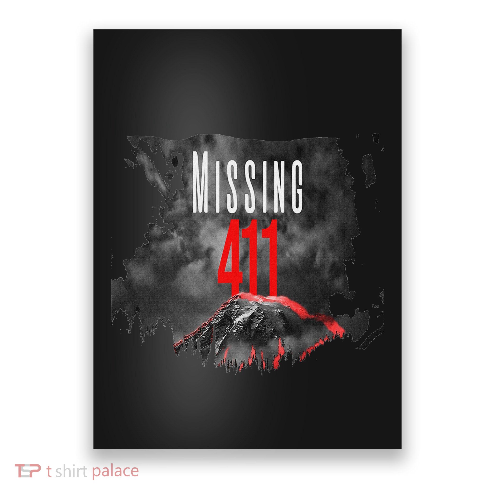 Missing 411 Poster