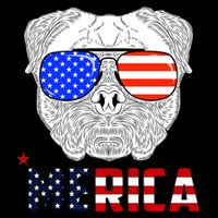 Merica 4th Of July Cool Bulldog Funny Mesh Reversible Basketball Jersey Tank