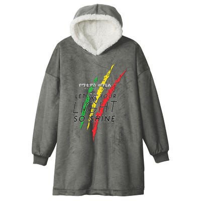 Matthew 516 Let Your Light So Shine Lion Of Judah Hooded Wearable Blanket