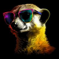 Meerkat Artwork Animal Art Sunglasses Meerkat Zip Tote Bag